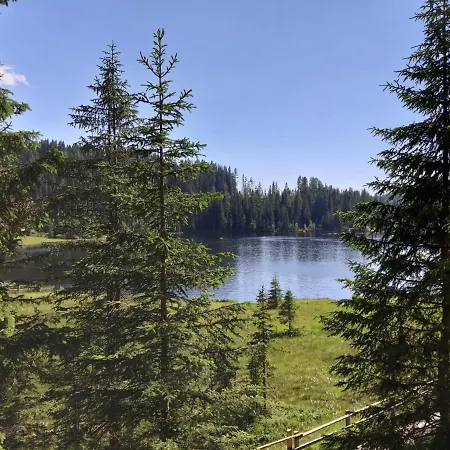 Michael טאמסווג