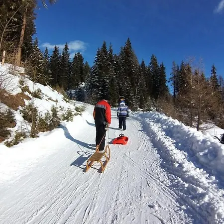 Apartament Michael *