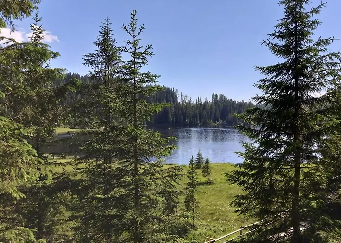 Michael 탐스베그