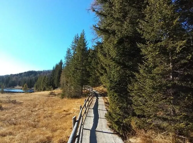 Apartamento Michael *